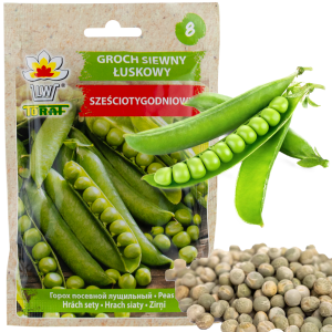 W0746 GROCH SIEWNY ŁUSKOWY SZEŚCIOTYGODNIOWY NASIONA 50G SZYBKI ZBIÓR