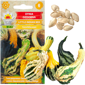 W7059 DYNIA OZDOBNA LITTLE INDIAN MIX 2G NASIONA MIX KOLORÓW I KSZTAŁTÓW DYNI