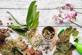 how-to-make-orchid-soil.png