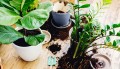 how-to-make-potting-soil-for-indoor-plants_2.jpg