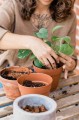 repotting-with-soil-mix_2.jpg