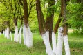 gettyimages-1138768023.jpg