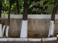 how-apply-limewash.jpg