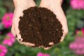 potting-mix-vs.-potting-soil.jpg