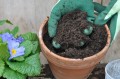 diy-potting-soil-1200x797.jpg