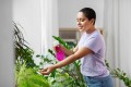 how-to-get-rid-of-fungus-gnats-31_2048x2048.jpg