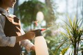 insecticide_1.jpg