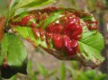 images_7.jpg