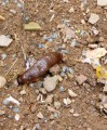 slug_and_pellets.jpg