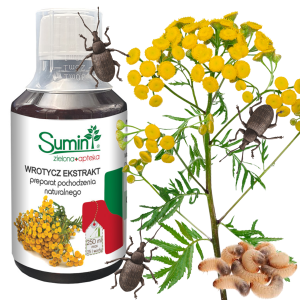 SUM25 SUMIN WROTYCZ EKSTRAT 250ML