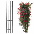 pergola-ogrodowa-tarasowa-do-roz-podpora-drabinka-kratka-do-rozy-bluszczu-150-cm-wysokosci-b-iext145882590.jpg