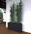 screenshot_2025-03-27_at_10-06-16_pergola_metalowa_tarasowa_ogrodowa_na_r_e_kwiaty_pn_ce_drabinka_czarna_5906068202972_cena_opinie_pergole_i_treja_e_12514715480_allegro.png