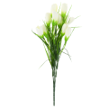 cv27023-1_1.png