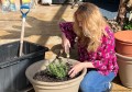 medicinal-herb-planting-pot-1024x719.jpg