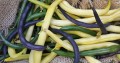 best-bush-bean-varieties-fb.jpg