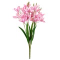 cv34944-3_1.jpg