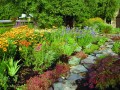 fall-garden.jpg