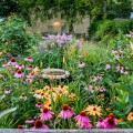 722223-perennial-garden-with-birdbath.jpg