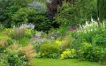 summer-flower-border-in-full-growth-1161212695.jpg