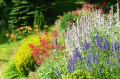 perennials_istock-1145290826-scaled.jpg.optimal.jpg