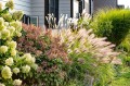 grass.lead-in2.jpg