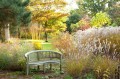 ornamental_grass_0178834-scaled.jpg.optimal.jpg