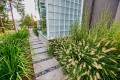 ornamental-grasses-in-a-landscape.jpg