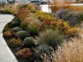 grass-oct-2012.jpg