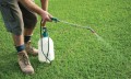 wide-bay-turf-weed-control-02.jpg