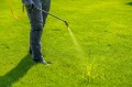 lawn_care_truck_technician_crew_spot_treatment_weeds_backpack_spray_hose_action_detail.jpg