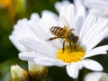 shutterstock_330159362.jpeg
