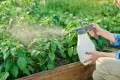 10-best-natural-pesticides-for-vegetable-garden-4-1024x683.jpg