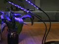 eng_pl_2x-plant-growth-lamp-40-led-timer-usb-clip-3936_6.png