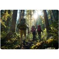 kijki-trekkingowe-ns-380-neo_47005.jpg