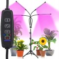 6206b1c1e64c2ae646c9b0d36027b930.jpg