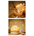 bfdae5bed85fa02c7acf2e7c0d6e09ad.png