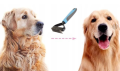 7f84c57fa51192e7a4bed32cc325cbf0.png