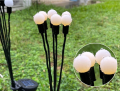 a86f955d22bee1ad02c07a0a2176613f.png