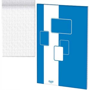 Blok biurowy w kratkę A4 / 100 kartek / 60g / BUDGET / BANTEX