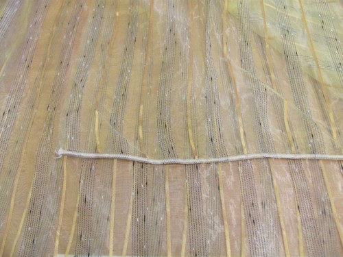 35907945.jpg