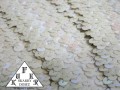41575581.jpg